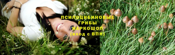 дживик Алексеевка